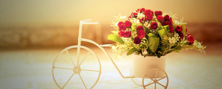 قلبم فدای …