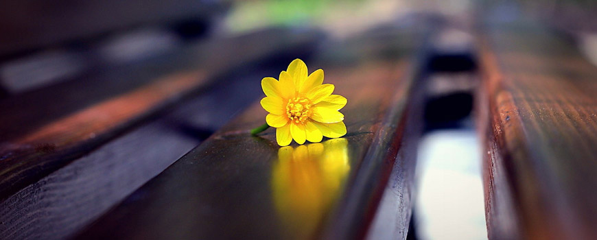 من قصه تو را اینگونه آغاز میکنم