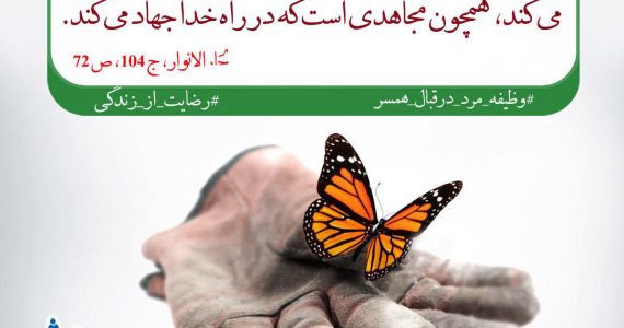 نون حلال