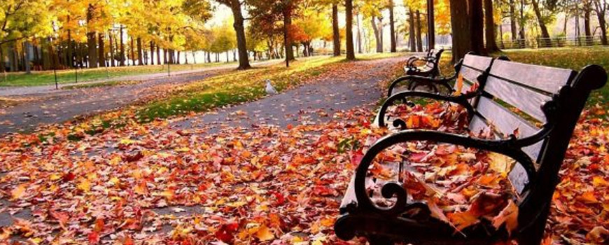 دو ماه از فوت خلیل می گذرد و کیمیا… هنوز هم هست، استوار و محکم در برابر مشکلات زندگی یک تنه ایستاده … دو ماه از فوت خلیل می گذرد و کیمیا… هنوز هم هست، استوار و محکم در برابر مشکلات زندگی یک تنه ایستاده …
