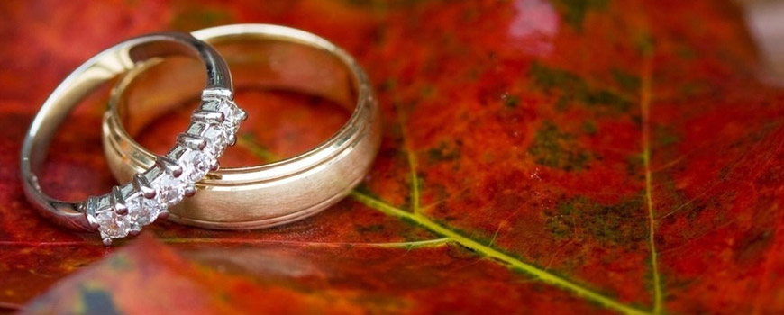 چگونه میتوانیم ازدواج موفقی داشته باشیم؟ چگونه میتوانیم ازدواج موفقی داشته باشیم؟