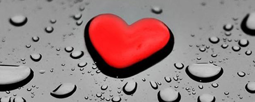 هر کجا میخوای باش
