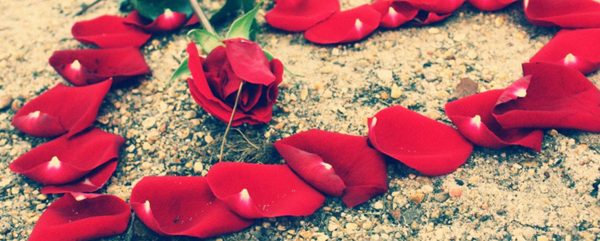 عشق من