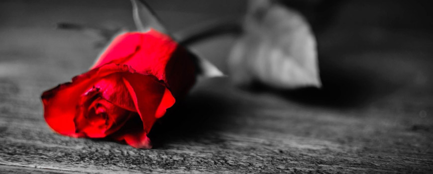 آسمان گفت که امشب شب توست