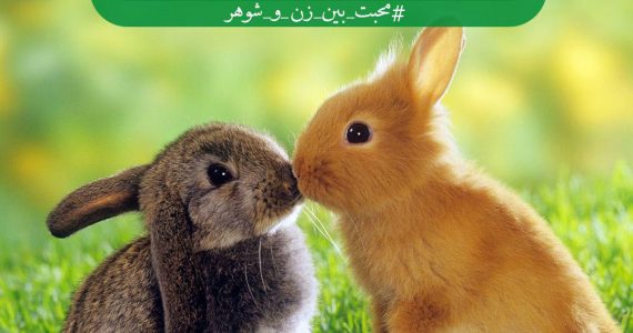 عشق ورزیدن