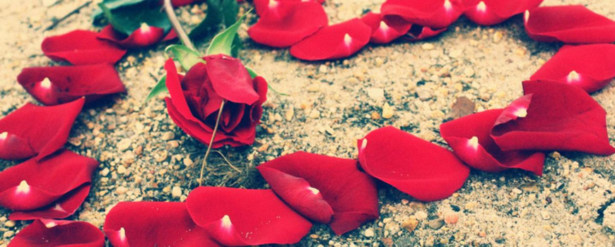 تومعنیِ تمام رنگ‌های دنیایی