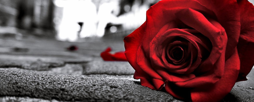 همین که صدایم می‌کنی…