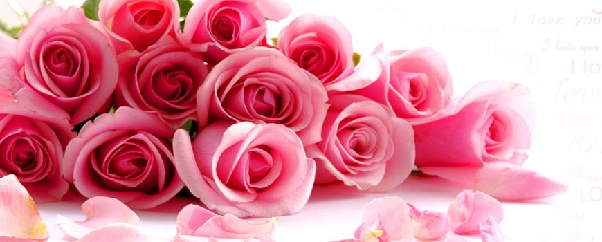 ﮐـﻨــــﺎﺭﻡ ﺑـﻤـــﺎﻥ…