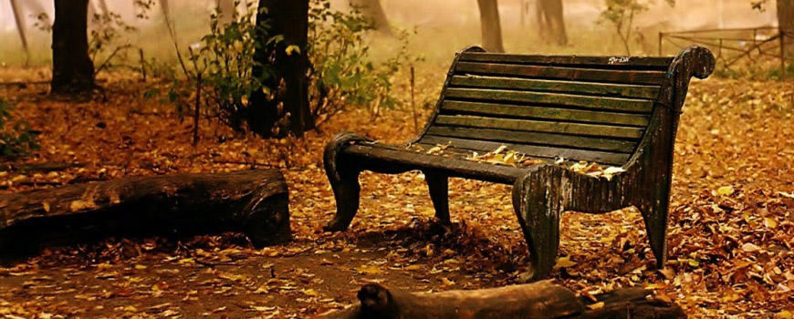 نمی‌دانم چرا زندگی‌ام اين چنين از هم پاشيد…
