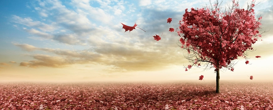 وقتی…