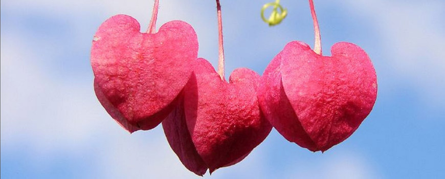‎به “تو” که میرسم…