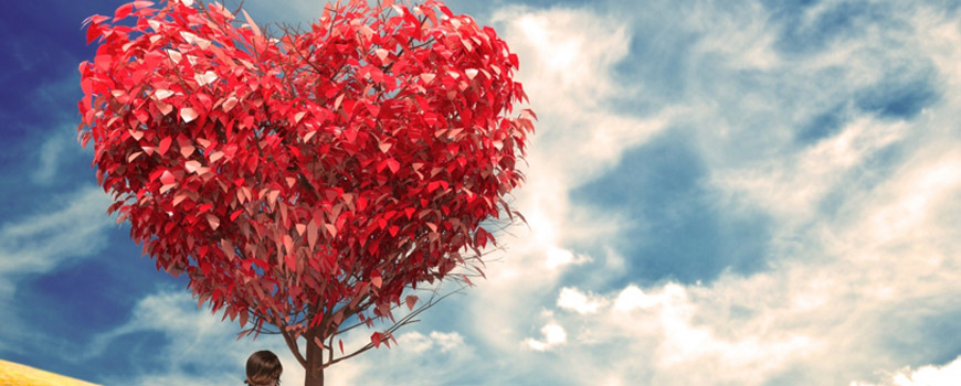 آنکه برای تو میمیرد…