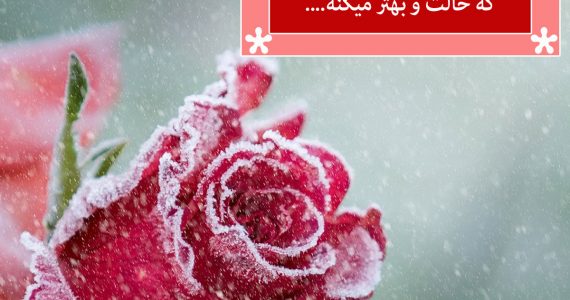 سن و سال فرقی نمیکند…