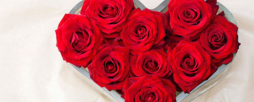 تو سرما بخوری…