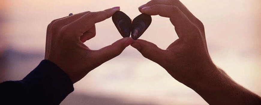 بوسه چیدن ز لبت…