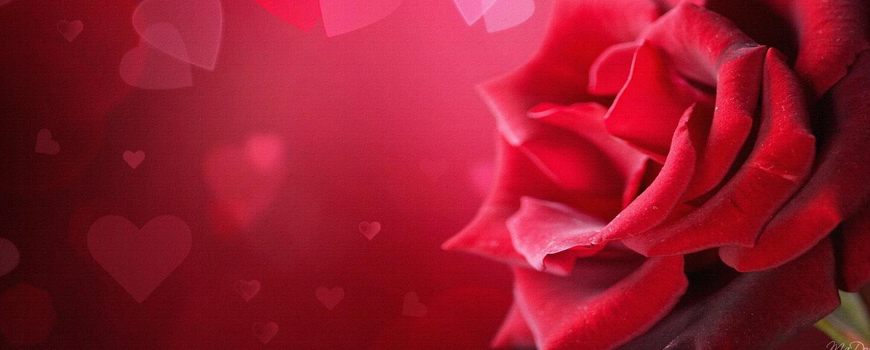 چقدر وقت کم است …