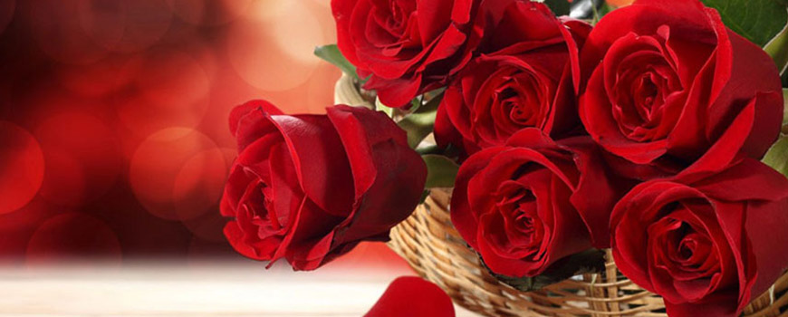 چشمانم را به ابرها قرض می دهم